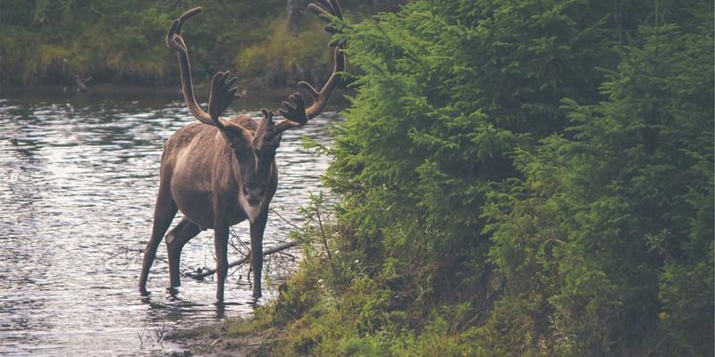 未来科技新范式：深圳鸿创如何以柔性生产线赋能小批量、多品种的嵌入式硬件定制