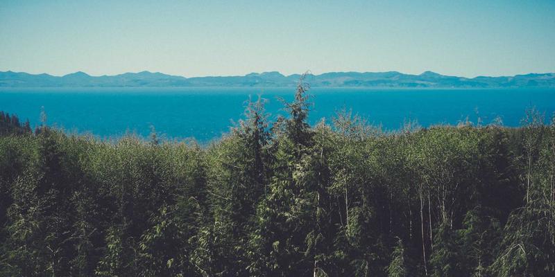 未来科技驱动下的嵌入式系统革命：深圳鸿创如何实现硬件解决方案从设计到量产的全生命周期质量管理