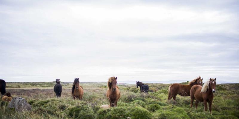 深圳鸿创40：物联网时代的嵌入式系统创新引擎