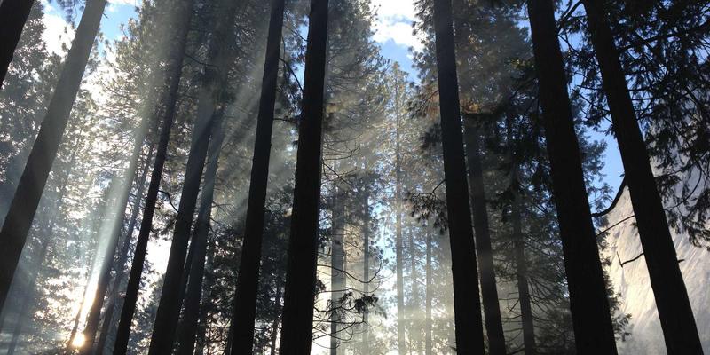 深圳鸿创8：引领智能硬件与物联网时代的电子产品研发先锋