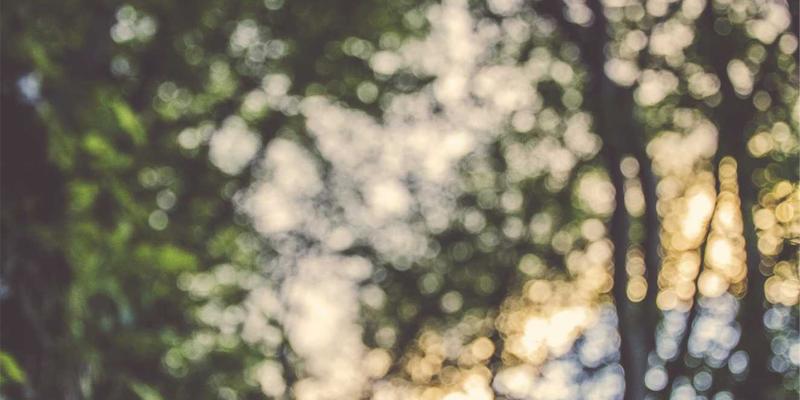 深圳鸿创97：智能硬件领域的创新先锋与深圳科技力量