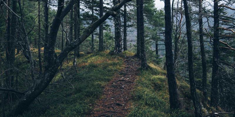 深圳鸿创：以未来科技与嵌入式系统，重塑硬件解决方案新范式