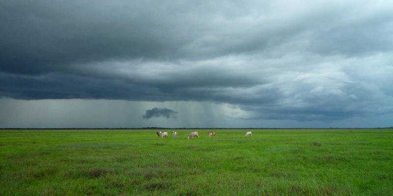 深圳鸿创对比分析:嵌入式系统与物联网硬件解决方案如何选择?