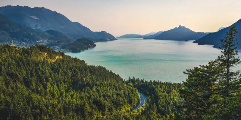 深圳鸿创嵌入式系统：驱动智慧农业变革的物联网核心解决方案