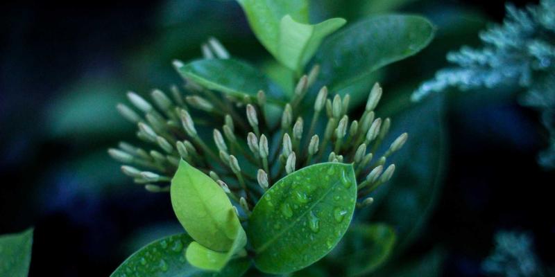 深圳鸿创攻略:揭秘硬件解决方案与嵌入式系统研发的制胜之道