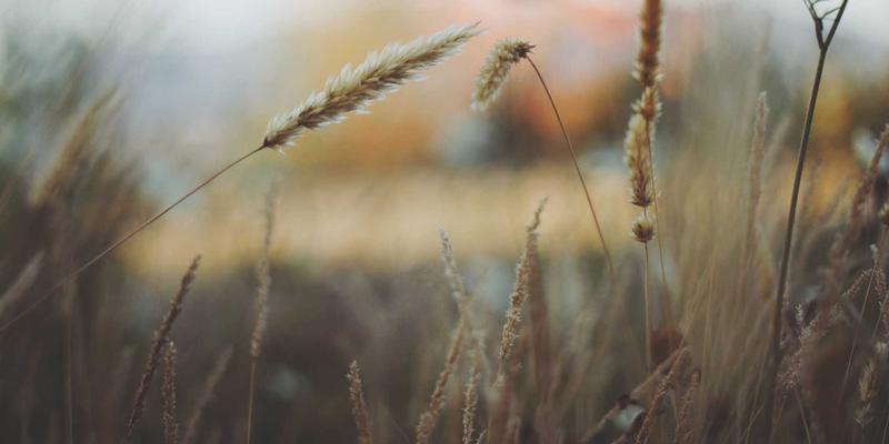 深圳鸿创硬件解决方案：揭秘电子产品研发中高效能与低功耗的平衡艺术