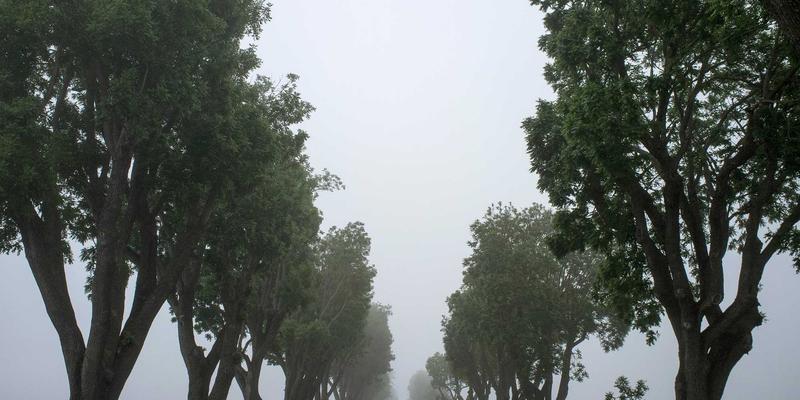 深圳鸿创评测：解码智能硬件的嵌入式核心，洞见未来科技新生态